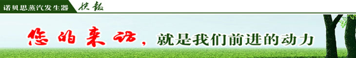 CH60KW蒸汽發(fā)生器