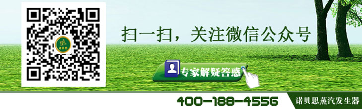 湖南砼養(yǎng)護(hù)燃?xì)庹羝仩t